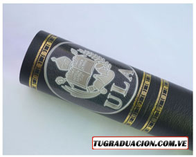Universidad De Los Andes (ULA)