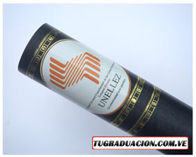 Universidad Nacional de los Llanos Ezequiel Zamora (UNELLEZ)
